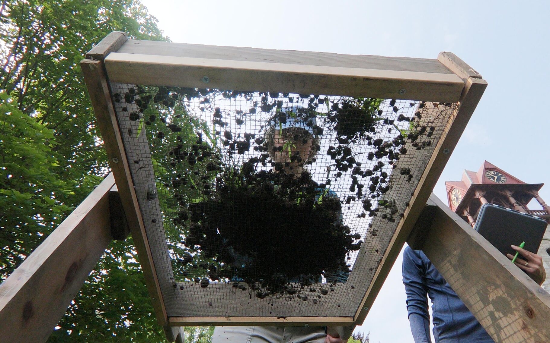 STOCKBRIDGEDIG-3.jpg